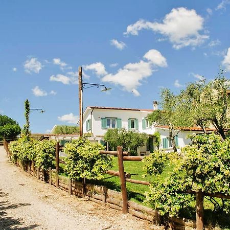 Bed and Breakfast Gli Olivi Formello Exterior foto